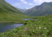 Национальный парк «Алания»