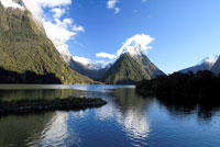 Неповторимая природа Новой Зеландии.