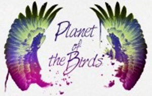 на фото Планета птиц - Planet of the Birds