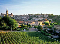 Бордо, uород вина во Франции.