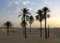 Большой Восточный Эрг, Сахара.
