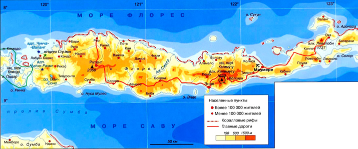 остров Флорес на карте (Индонезия)
