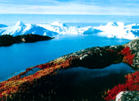 на фото Гренландия (остров)