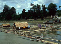 на фото Иравади (река)
