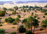 на фото Мавритания