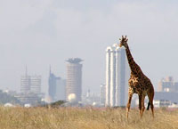 на фото Найроби (столица Кении)