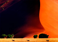 на фото Намиб (пустыня)