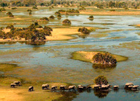 река Окаванго (Африка)
