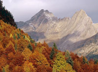Пиренеи, горная система в Европе.