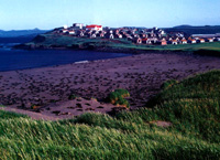 Острова Прибылова