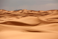 Пустыня Сахара, Африка.