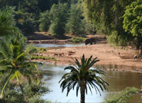 на фото Сенегал (река)