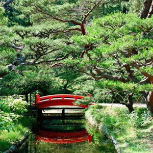 Парк Рицурин, остров Сикоку, Япония.