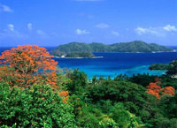Республика Тринидад и Тобаго, островное государство в Карибском море.
