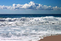 Тихий океан - самый большой океан на Земле.