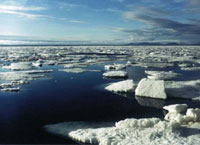 Часть Северного Ледовитого океана