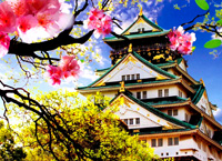 на фото Замок в Осаке