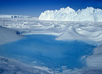 Земля Адели, Антарктида.