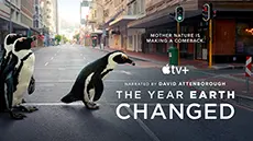 на фото Год, изменивший планету / The Year Earth Changed (2021)