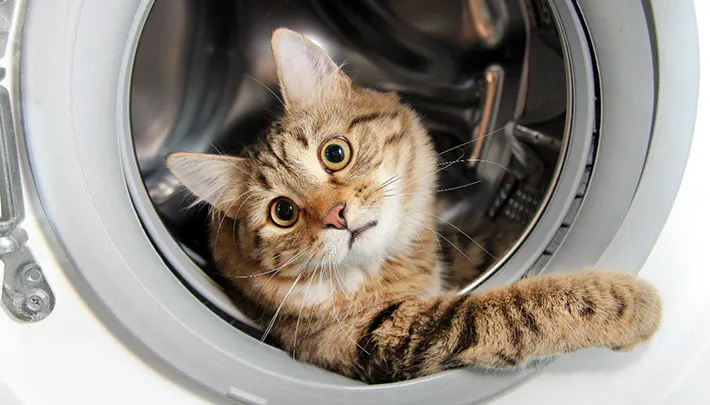 на фото Какую мощность стиральной машины выбрать?